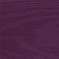 Purple Violet